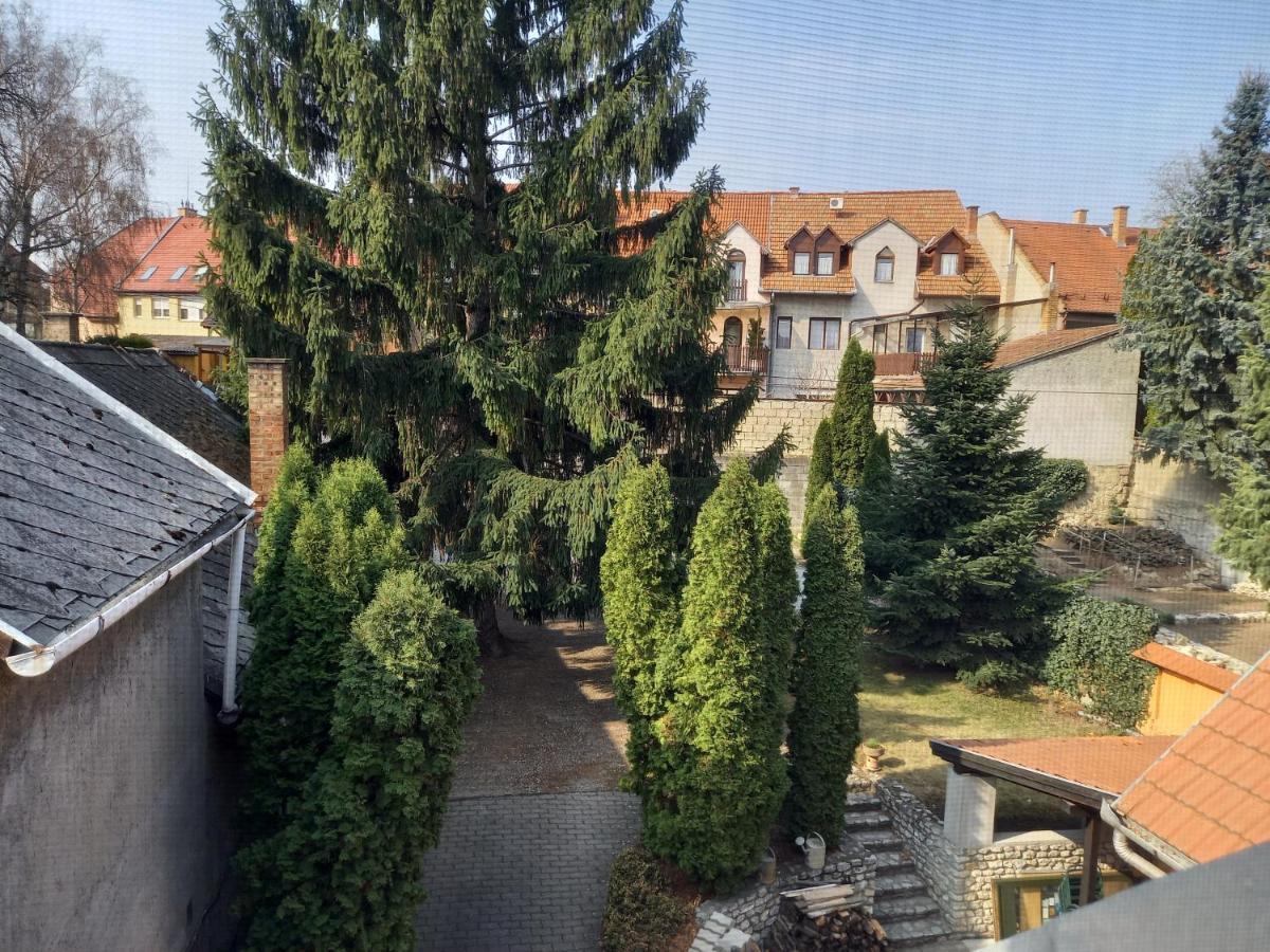 Europa Panzio Bed & Breakfast Eger Exterior photo